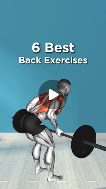 Physio_tip on Instagram: "6 - MUST DO BACK EXERCISES🔥" Lower Back Exercises Women, Back Exercises For Men, Back Exercises Women, Lower Back Workout, Low Back Exercises, Upper Back Exercises, Good Back Workouts, Workout Tips, Back Exercises