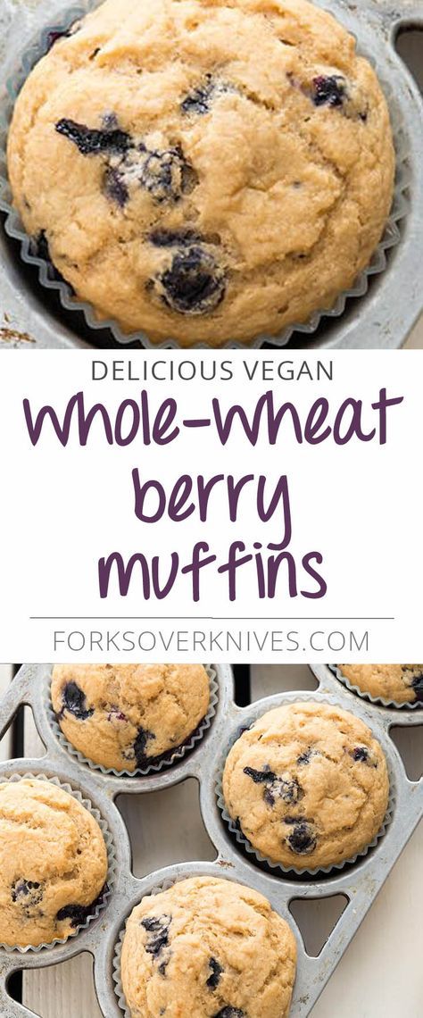 These are a perfectly delicious breakfast muffin with loads of berry goodness and a tasty, wheaty backdrop. If you can find wild blueberries, use them—they are perfect for muffins because they’re tiny and distribute beautifully without making the muffin soggy.... Read more Vegan Whole Wheat Muffins, Plant Based Blueberry Muffins, Whole Food Plant Based Muffins, Plant Based Muffin Recipes, Forks Over Knives Desserts, Plant Based Muffins, Berry Muffin Recipe, Healthy Vegan Dessert, Wheat Berry