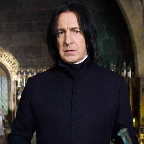 Harry Potter Teachers, Deathly Hallows Part 2, Professor Severus Snape, Circus Characters, Severus Rogue, Peter Pettigrew, Lily Evans, Harry Potter Films, Harry Potter Film