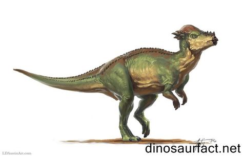 Dinosaur Information, Dinosaur Artwork, Creature Inspiration, Mesozoic Era, Dinosaur Tattoos, Mythical Creatures Fantasy, All Dinosaurs, Dinosaur Images, Dinosaur Illustration