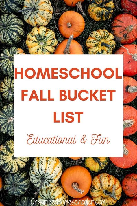 A homeschool fall bucket list helps me be intentional with our time. . . which goes by way too fast! Check out these educational but fun fall activities. Fall Homeschool, Fall Activities For Kids, Fall Family Activities, Homeschool Holidays, Bucket List Family, Morning Activities, Rainy Day Crafts, Fun Fall Activities, Autumn Activities For Kids