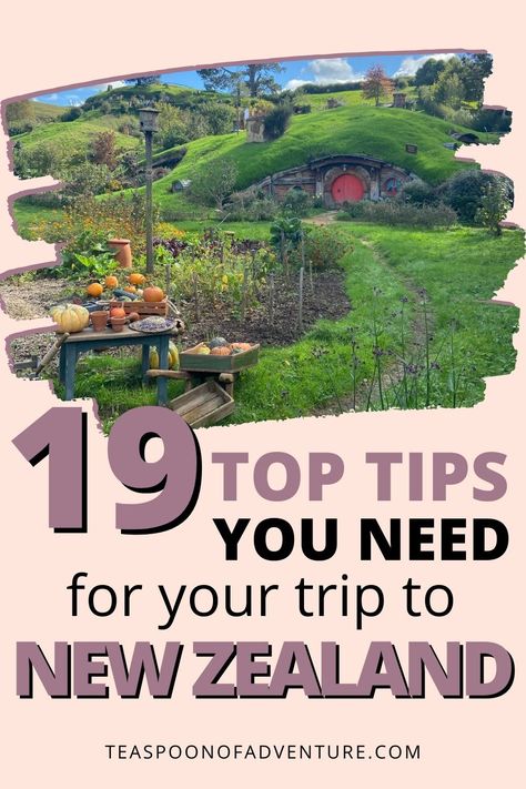 19 Things to Know Before You Plan a Trip to New Zealand: Everything you need to know before your travels to New Zealand from visas and budgets to driving and wildlife! #newzealand #travel #traveltips #travelplanning #auckland #queenstown #milfordsound #aotearoa Trip To New Zealand, Budget Hacks, Hacks To Save Money, New Zealand Itinerary, Moving To New Zealand, Visit New Zealand, Oceania Travel, Dream Vacations Destinations, Milford Sound