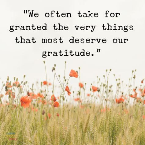 7 Things That You Should Never, Ever Take for Granted I Took You For Granted Quotes, Taking Life For Granted Quotes, Not Being Appreciated Quotes, Take For Granted Quotes, Taking Things For Granted Quotes, Taking For Granted Quotes, Taking People For Granted, Quotes About Not Taking People For Granted, Taking Things For Granted