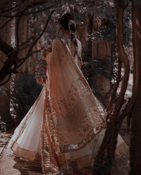 Royal Aesthetic Indian, Desi Princess Aesthetic, Asian Royalty Aesthetic, Indian Queen Aesthetic, Pakistani Aesthetic, Pakistani Culture, Royal Core, Royal Indian, Desi Wedding Dresses