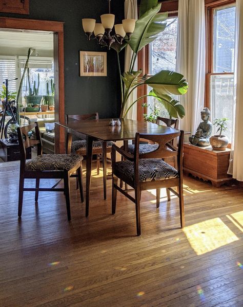 Earthy Dining Room Decor, Eclectic Mid Century Modern, Mid Century Dining Set, Mid Century Eclectic, Dwelling Place, 1st House, Lawrence Ks, Brooklyn Apartment, Mid Century Modern Dining