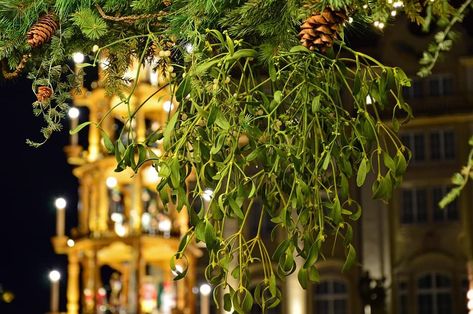 10 Czech Christmas Traditions That You Will Love Mistletoe Plant, Hanging Christmas Stockings, Christmas Tree Angel, Traditional Christmas Decorations, Comfort Gifts, Merry Christmas Wishes, Advent Candles, Holiday Candles, Mason Jar Candles