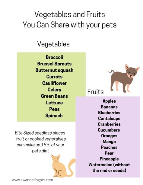 Vegetables For Cats, Extra Vitamins, Broccoli And Brussel Sprouts, Pet Recipes, Cucumber Bites, Dog Wellness, Pet Nutrition, Dog Diet, Pet Advice