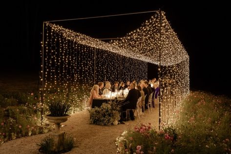 Wedding Tunnel, Fairy Lights Wedding, Fairy Lights Decor, Light Tunnel, Outdoor Fairy Lights, Wedding Anniversary Celebration, Daffodil Bulbs, Lights Wedding, Grace Loves Lace