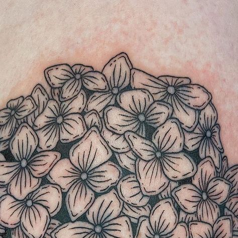 Lines by Lau on Instagram: "Hydrangeas for Renata!" American Traditional Hydrangea Tattoo, Hydrangeas Tattoo, Hydrangea Tattoo, Hydrangeas Art, Traditional Tattoo Flowers, Tattoo Flowers, February 8, Neo Traditional, American Traditional