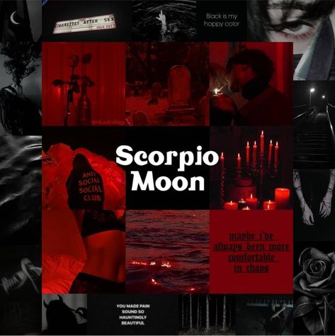 Moon In Scorpio Aesthetic, Scorpio Moon Aesthetic, Astrological Aesthetic, Rising Virgo, Gemini Sun Scorpio Moon, Scorpion Sign, Female Archetypes, Signs Aesthetic, Scorpio Aesthetic