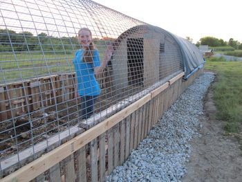 Compost-Included Deep Litter Hoop Coop - BackYard Chickens Community Pallet Hoop House, Chicken Hoop Coop, Cattle Panel Chicken Coop, Chicken For Eggs, Hoop House Chickens, Chicken Run Door, Hoop Coop, Chicken Barn, Cattle Panels