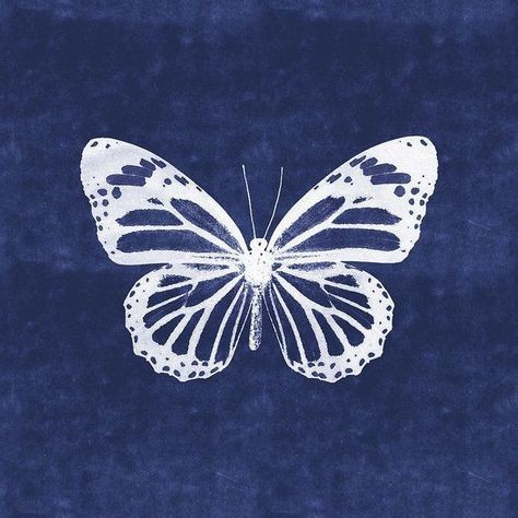 Indigo Butterfly, Light Blue Aesthetic, Blue Wallpaper Iphone, Blue Poster, White Butterfly, Butterfly Art, Phone Themes, White Aesthetic, Blue Butterfly