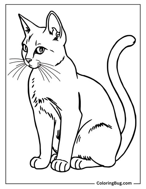 Realistic cat outline coloring sheet Cat Template Free Printable, Outline Of Cat, Cat Coloring Pages Free Printable, Cute Cat Coloring Pages, Simple Outlines, Cat Themed Parties, Cuddly Cats, Cat Coloring Pages, Cat Template