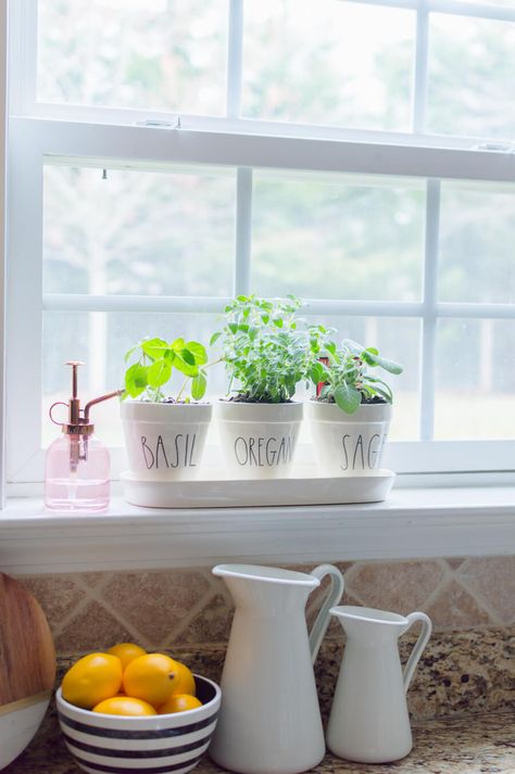 Kitchen Herb Garden Windowsill, Simple Diy Kitchen, Windowsill Ideas, Herb Kitchen, Indoor Herb Garden Diy, Kitchen Herb Garden, Small Herb Gardens, Window Sill Decor, Kitchen Simple