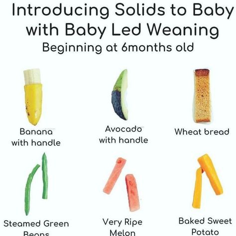 Starting Baby Led Weaning 6 Months, When To Start Baby Led Weaning, Baby Led Weaning First Foods No Teeth, Baby Led Weaning First Foods 6 Months No Teeth, Blw Day 1, Starting Baby Led Weaning, First Baby Led Weaning Foods, Baby Led Weaning First Foods Recipes, How To Start Baby Led Weaning