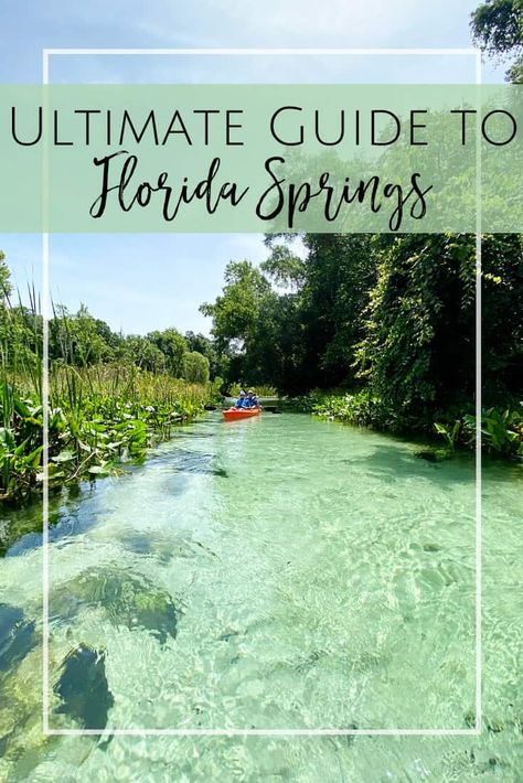 Florida Springs Day Trips from Jacksonville - Jacksonville Beach Moms Things To Do Near Jacksonville Florida, Rainbow Springs Florida, Jacksonville Florida With Kids, Day Trips From Jacksonville Fl, Homosassa Springs Florida, Rainbow Springs State Park, Kelly Park, Florida Springs Map, Blue Springs State Park