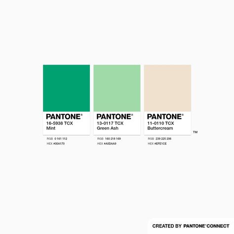 Mint, Green Ash & Buttercream Mint Green Palette, Mint Green Fashion, Pantone Green, 21 Bday, Mint Logo, Green Branding, Pantone Palette, Ss 2024, Green Ash