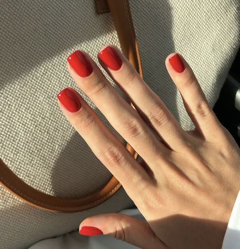 Bright Red Gel Nails, Gel Nails Red, Red Gel Nails, Nail Care Products, Red Manicure, French Nail, French Beauty, Strong Nails, Elegant Nails