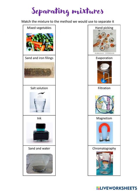 Separation Of Mixtures, Types Of Mixtures, Separating Mixtures, Solutions And Mixtures, 2nd Grade Crafts, Heterogeneous Mixture, Compounds And Mixtures, Science Printables, Matching Worksheets