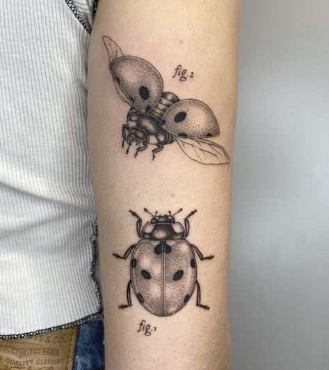 Book Inspired Tattoos, Ladybug Tattoo, Surreal Tattoo, Lady Bug Tattoo, Bug Tattoo, Insect Tattoo, A Ladybug, Geniale Tattoos, Aesthetic Tattoo