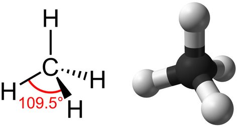 Carbon | Boundless Biology | | Course Hero Octet Rule, Carbon Molecule, Carbon Cycle, Organic Molecules, Functional Group, Chemical Bond, Covalent Bonding, Biology Classroom, Physical And Chemical Properties