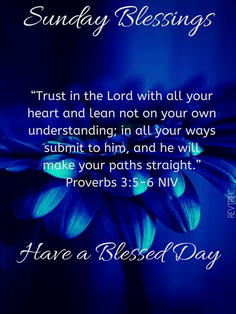 Sundays Blessings Mornings, Blessing Sunday Quotes, Sunday Blessings Inspiration Life, Sunday Morning Bible Verses, Sunday Blessings Inspiration Quotes, Sunday Scripture Blessings, Sunday Blessings Inspiration Faith, Blessed Sunday Morning Quotes, Sunday Blessings Inspiration Scriptures