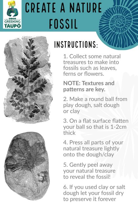 Make your own fossil — Kids Greening Taupo | Learning Through Nature Kindergarten Fossil Activities, Make Your Own Fossils, Fossil Activities For Kids, Fossils Lesson, Geology Activities, Fossils Activities, Archaeology For Kids, Earth Science Lessons, Cousin Camp