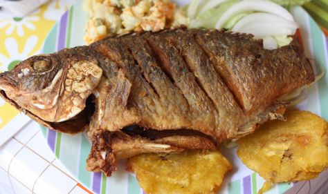 Haitian fried fish! Yumm Haitian Fish Recipe, Haitian Restaurant, Haitian Dishes, Trinidad Recipes, Carribean Food, Haitian Food, Christians Quotes, Haitian Food Recipes, Caribbean Cuisine