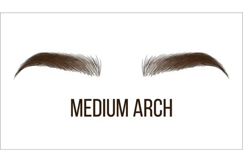 Arch Eyebrows, Brows Shape, Arch Brows, Shape Vector, Realistic Illustration, Brow Styling, Arched Eyebrows, Brow Shaping, Eyebrow Shape