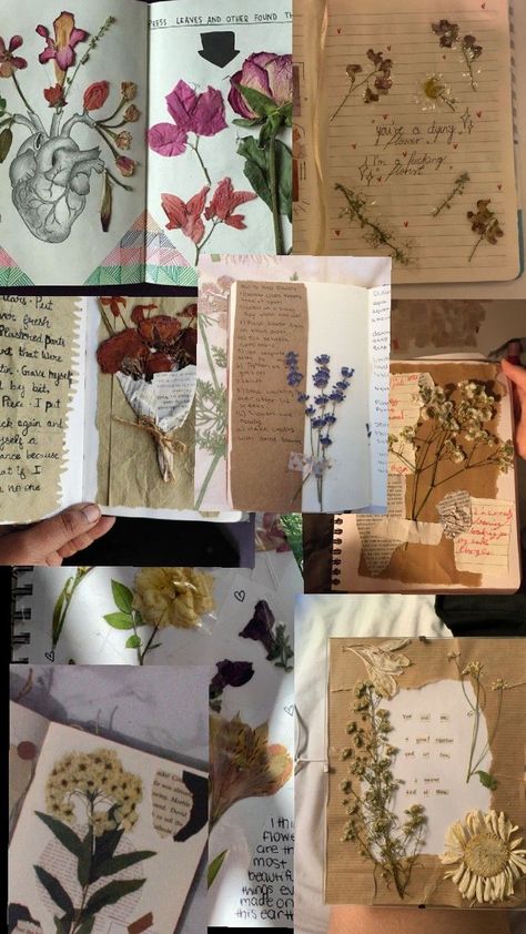 yes Flowers In Journal, Dry Flower, Dry Flowers, Nature Journal, Hand Art Drawing, Hand Art, Dried Flowers, Flower Art, Art Drawings