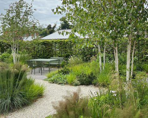 Colm Joseph Gardens on Instagram: “checked in on our suffolk walled garden this week, pleased to see it developing so well these shots show the gravel garden, where the…” Gravel Planting, Birch Trees Landscaping, Low Water Gardening, Front Garden Design, Gravel Garden, English Cottage Garden, Walled Garden, Pond Design, Have Inspiration