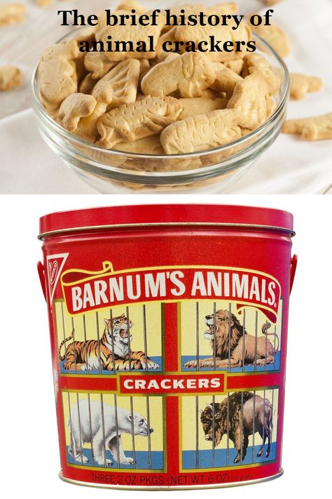 Animal Cracker Recipe, Animal Crackers Recipe, Animal Cracker, Sustainable Eating, Cracker Cookies, Vintage Lunch Boxes, Vintage Lunch, Best Sweets, Eat Seasonal