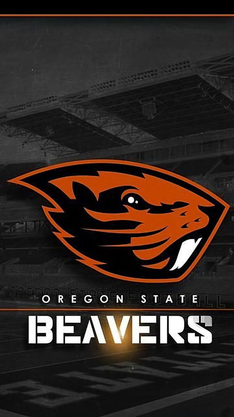 College Wallpaper, Funny English, Pic Art, Oregon State Beavers, Love Quotes Funny, Quotes Pics, Quotation Marks, Oregon State, Single Words