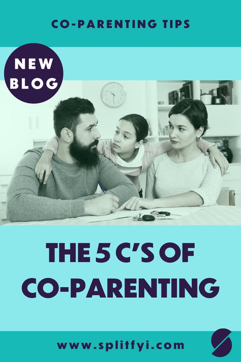 Parenting After Separation, Divorce Tips, Couples Therapy Worksheets, Blended Families, Divorce Support, Rules For Kids, Divorce Advice, Parenting Goals, Divorced Parents