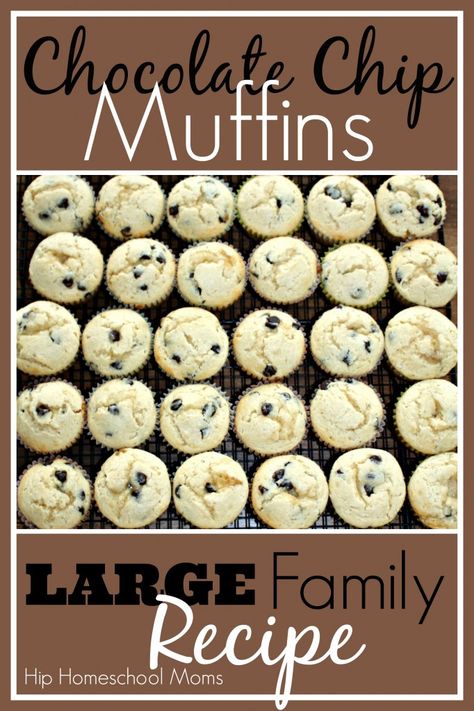 Chocolate Chip Muffins for a large family. I would use berries instead of chocolate but I love that the recipe makes such a large batch. Big Batch Desserts, Homemade Chocolate Chip Muffins, Chocolate Chip Muffin Recipe, Ideas For Breakfast, Breakfast For A Crowd, Homemade Chocolate Chips, Large Family Meals, Filled Muffins, Large Families