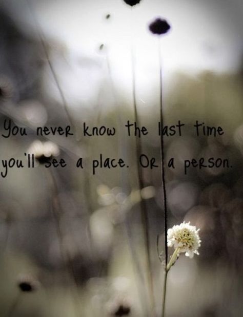 Witness to Loss When Someone Dies Quotes, Blue Eyes Make Up, When Someone Dies, After Life, Flower Quotes, Mellow Yellow, A Quote, Smokey Eye, When Someone