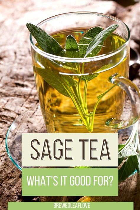 Homemade Tea Blends, Tea Blends Recipes, Sage Recipes, Herbal Tea Garden, Rosemary Tea, Sage Tea, Herbal Remedies Recipes, Salvia Officinalis, Medicinal Herbs Garden