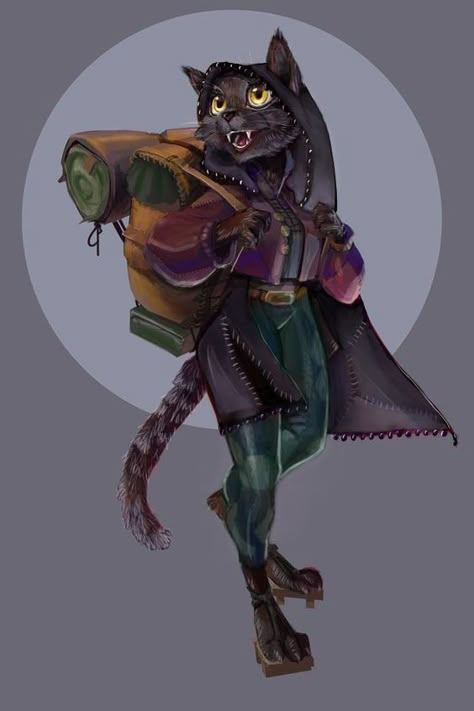 Catfolk Character Design, Cat Dnd Character, Dnd Catfolk, Tabaxi Cleric, Root Rpg, Tabaxi Bard, Weird Eyebrows, Eugene Levy, Always Judging