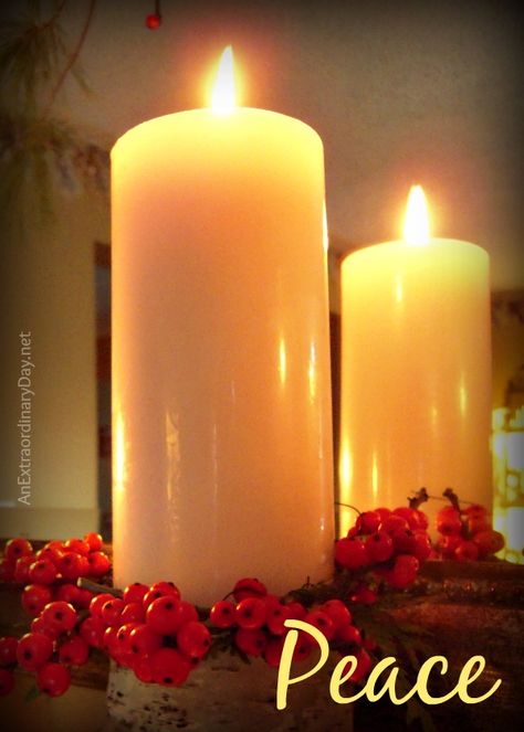 Light the Candle of Peace for Advent :: JoyDay! :: AnExtraordinaryDay.net Advent Peace Quotes, Advent Wishes, Second Sunday Of Advent, Advent Catholic, Images Of Peace, Advent Prayers, Peace Candle, Advent Readings, Peace In The World