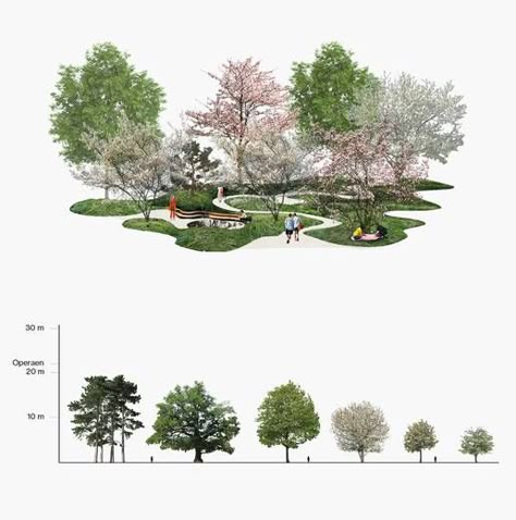 cobe operapark cherry grove Landscape Architecture Diagram, Landscape Architecture Drawing, Tree Plan, Site Analysis, Classic Garden, Most Beautiful Gardens, Landscape And Urbanism, Urban Nature, Landscape Architecture Design