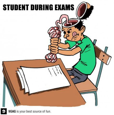 Student during exams. #exams #examination #test #knowledge #studying #education #funny Medical School Humor, Exams Memes, Medical Jokes, Student Jokes, Student Exam, Exams Funny, Funny Minion Memes, English Exam, Engineering Humor