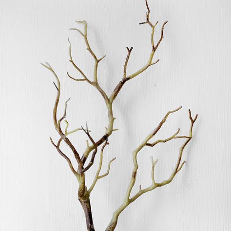 Diy Antlers Headband, Diy Antler, Dried Tree Branches, Twigs Decor, Tree Branch Wedding, Artificial Tree Branches, Takken Decor, Branches Diy, Tree Branch Decor