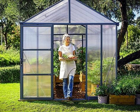 Palram - Canopia Glory Greenhouse - 8' x 12' - Gray Canopia By Palram Greenhouse, Palram Canopia, Standard Window Sizes, Gray Patio, Oversized Windows, Window Replacement, Water Collection, Window Sizes, Greenhouse Gardening