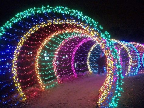 Christmas decorative LED fairy lighted tunnel | iChristmasLight Garden Of Lights, Christmas Arch, Christmas Lights Outdoor, Lights Outside, Picture Green, Christmas Lights Outside, Holiday Lights Display, Light Tunnel, Fairy Christmas