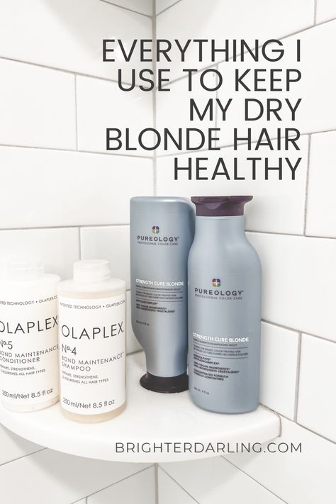 Everything I Use To Keep My Dry Blonde Hair Healthy Blonde Hair Maintenance Tips, Keeping Blonde Hair Healthy, Best Shampoo For Blonde Colored Hair, Healthy Blonde Hair Tips, Dry Blonde Hair, Blonde Hair Maintenance, Blonde Hair Healthy, Makeup Trailer, Amika Dry Shampoo