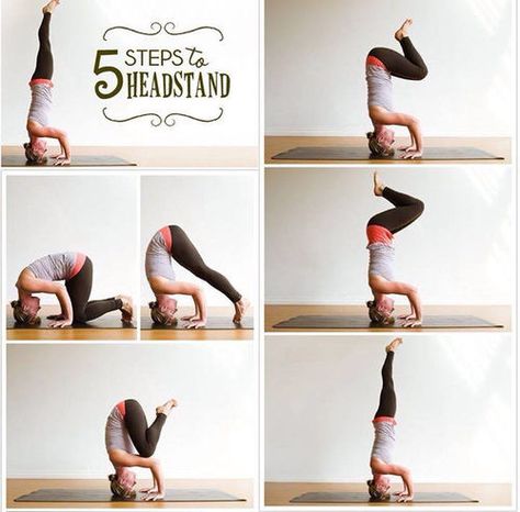 5 Steps To A Head Stand fitness exercise yoga health home exercise yoga poses exercising exercise tutorials yoga for beginners headstand Yoga Headstand, Outer Thigh Workout, Headstand Yoga, Yoga Nature, Yoga Tutorial, Yoga Beginners, Sup Yoga, Online Yoga Classes, Yoga Posen