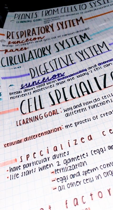 note titles; plant cell systems, respiratory system, circulatory system, digestive system, cell specialization. 
pretty notes Circulatory System Notes, Digestive System Notes, Cell Specialization, Notes Studying, Bio Notes, Biology Plants, College Problems, Biology Revision, School Biology