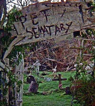 'Pet Sematary' by Stephen King Pet Cemetary, Heather O'rourke, Mary Lambert, Stephen King Movies, Pet Cemetery, Pet Sematary, Halloween 2019, Halloween Animals, B Movie