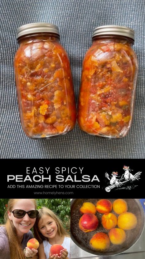 The Best Spicy Peach Salsa Recipe - Homely Hens Easy Peach Salsa, Spicy Peach Salsa, Picking Peaches, Peach Salsa Recipe, Salsa Canning Recipes, Peach Salsa Recipes, Canning Peaches, Peach Salsa, Spread Recipes