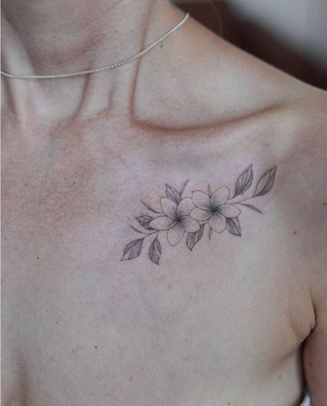 Lao Flower Tattoo, Plumeria Alba Tattoo, Plumeria Flower Tattoos Hawaii, Sampaguita Tattoo Philippines, Plumeria Flowers Tattoo, Flower Collarbone Tattoo, Hawaiian Plumeria Tattoo, Plumeria Flower Tattoo, Plumeria Drawing